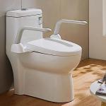 Toilet Safety Rails, Foldable Toilet Handrail, Easy Installation Heavy Duty Armrest Frame for Elderly Senior Handicap and Pregnant from EASYWOW