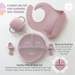 Clover Clover 9 Piece Baby Led Weaning Supplies- Toddler Feeding Set- Silicone Divided Suction Plate with Lid, Suction Bowl, Sippy Cup, 2 Bibs, 2 Soft Spoons and Fork 6 Months+ (Matte Pink) by Clover Clover
