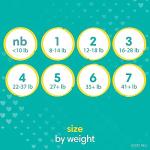 Pampers Baby Diapers and Wipes Starter Kit, Swaddlers Disposable Baby Diapers Sizes 1 (198 Count) & (186 Count) with Sensitive Water Based Baby Wipes 12X Multi Pack Pop-Top and Refill (1008 Count) from 