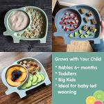 7-Piece Feeding Set SAGE SPOONFULS Suction Plate and Baby Food Pouch Set for Babies and Toddlers, 100% Silicone Divided Plate with Suction Base, 6-Pack BPA Free 7oz Double Zipper Reusable Food Pouches from Sage Spoonfuls