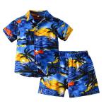 Mallimoda Baby Boys Outfits Shorts Sets Toddler Hawaiian Button Down Shirt Kids Summer Floral Clothes Style 3 120cm from 