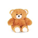 Radio Flyer My 1st Steel & Wood Toy Wagon with Teddy Bear from Radio Flyer