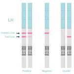 FIRSTVIEW 50 Ovulation Test Strips and 20 Pregnancy Test Strips Combo Kit, (50 LH + 20 HCG) (70 Piece Set(50LH+20HCG)) from FIRSTVIEW