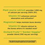 Natureâs Way Alive! Calcium Bone Support*, Max Absorption, Plant Source Calcium, 120 Tablets from Nature's Way