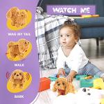 BETTERLINE Puppy Electronic Interactive Pet Dog -Walking, Barking, Tail Wagging, Stretching Companion Animal for Kids (Brown Poodle) from BetterLine