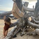 Ditty Co. Small Diaper Bag - Portable Changing Pad - Crossbody Bags For Women - Baby Wipe Holder - Baby Travel Essentials (Natural Tan) from 