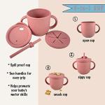 Littlesol Baby Led Weaning Supplies - Complete Silicone Baby Feeding Set - Includes Baby Plate, Spoon, Fork, Bib, Bowl, Water & Snack Cup - Food Grade Silicone BPA Free - Dishwasher Safe (Dark Pink) from littlesol