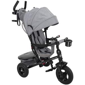 Huffy MalmÃ¶ Ultra 4-in-1 Canopy Trike with Adjustable Push Handle, Folding Footrest, Removable Canopy, and Accessories , Gray by Huffy