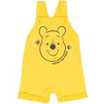 Disney Winnie the Pooh Baby Boys 3 Piece Outfit Set: Overalls T-Shirt Hat 0-3 Months by Bentex Group, Inc.