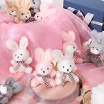 12 Pieces 4 Inch Plush Tiny Toy Bear Bunny Valentine's Day Stuffed Animals Plush Soft Tiny Favors Jointed Doll Toys Small Furry Dolls for Party Favors DIY Keychain Bag Decor (Rabbit) by Zomiboo