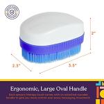 Special Supplies Wilbarger Method Therapy Sensory Brush Set, 6-Pack, Calming Occupational and Sensory Tools with Deep Pressure Massage, Large Oval Handle, Soft Bristles, Fun Colors from Special Supplies