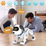 Robot Dog Toy for Kids, OKK Remote Control Robot Toy Dog and Programmable Toy Robot, Smart Dancing Walking RC Robot Puppy, Interactive Voice Control Toys, Electronic Pets Gift for Boys Girls from okk