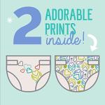 Seventh Generation Baby Diapers, Size 1, 80 Count, Super Pack, for Sensitive Skin by AmazonUs/SEVM7