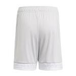 adidas boys Tastigo 19 Short Team Light Grey/White Small from Adidas