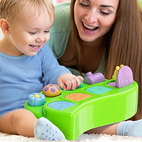 Montessori Pop Up Cause and Effect Toy for 9 Month Old +, Early Developmental Baby, Toddler & Kids Gift by MindSprout