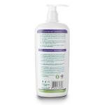 Sleep Easy Calming Lotion | For Babies and Toddlers | Relaxing Bedtime Lotion | Lavender and Chamomile Oils | Perfect for Baby Massage | Made with Natural and Organic Ingredients | (8 fl.oz / 240ml) by Aleva Naturals