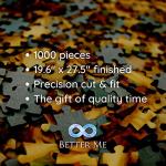 Our National Parks Jigsaw Puzzle - USA National Parks Puzzle, Acadia National Park, Yellowstone National Park, Zion, Arches, Crater Lake, Mount Rainier, Great National Park Gifts (1000 Piece Puzzle) by Better Me