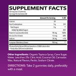 Sambucus Black Elderberry Gummies for Adults | Powerful Antioxidants Packed in Elderberry with Zinc and Vitamin C | Elderberry Vitamins with Elderberry Extract | Improves Immune Support | 120 Count from Havasu Nutrition