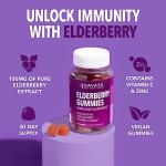 Sambucus Black Elderberry Gummies for Adults | Powerful Antioxidants Packed in Elderberry with Zinc and Vitamin C | Elderberry Vitamins with Elderberry Extract | Improves Immune Support | 120 Count from Havasu Nutrition