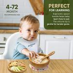 NutriChef Baby and Toddler, 3 Compartment Plate, Bowl, and Spoon Feeding Set- Silicon Suction, Non-Toxic All Natural Bamboo Baby Food Plate with Silicon Bib by NutriChef