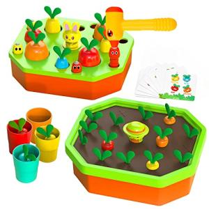 5 in 1 Toddlers Montessori Toys for Baby Boys Girls Age 2 3 4 5 Two Year Old - Kids Educational Learning Activities - Carrot Color Sorting Fine Motor Skills Games - Sensory Bin for Gifts 18+ Month by shenzhen yingyingle wanju youxian gongsi