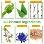 Lifetones Uric Acid Support Vitamins for Men and Women - Uric Acid Herbal Cleanse Detox - for Joint Comfort, Muscle Pain Relief, and Kidney Support - Non-GMO, Gluten Free - 60 Count from Lifetones