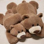 CSVBTRF 2.8lb Bear Weighted Stuffed Animals, Hugging Pillow for Kids Gift - Brown Plush Animals Bear Plush 2.8lb, 23" (Brown, 23") from CSVBTRF