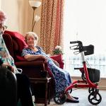 RINKMO Rollator Walkers for Seniors- Rollator Walker with Seat 8" Wheels- Easy Folding Senior Walker with Padded Backrest- Lightweight Mobility Walking Aid for Adult Elderly, Aluminum Frame, Red by RINKMO