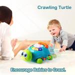 MAGIBX Baby Toys 6 to 12 Months Boy Girl Gifts, Infant Light Up Musical Turtle Crawling Toys for Babies 6-12-18 Months, Learning Educational Toys for Toddler Age 1-2 First Christmas Birthday Gifts by MAGIBX