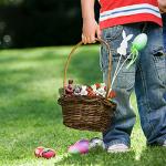 nezababy Easter Hide-and-Seek Bunnies in Carrot Pouch,3 Bunnies in a Carrot Purse,Carrot Plush Toy,Plush Stuffed Animal Surprise Zip 5.9x5.9 Inch nezababy-1 0 by nezababy-1