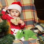 Toypocket 3.5lbs Weighted Dinosaur Plush 24", Soft Stuffed Dino Weighted Plush Animal Dinosaur Throws Pillows from Fanyi