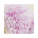 Platypus Warmies Cozy Plush Heatable Lavender Scented Stuffed Animal from INTELEX (Warmies)