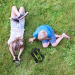 Hey! Play! Remote Control Monster Truck - 2.4GHz RC Off-Road Rugged Toy Vehicle for Kids with Spring Suspension and Oversized Wheels (Green) by Trademark Global