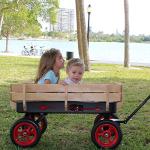 Flexible Flyer All-Terrain Steel & Wood Wagon. Extra-Long Handle, Black & Red from Driveway Games