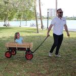 Flexible Flyer All-Terrain Steel & Wood Wagon. Extra-Long Handle, Black & Red from Driveway Games