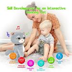 gebra Plush Toys Talking Cat Stuffed Animals for Baby Toddler Boys and Girls, 14" from gebra