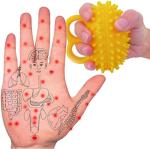 Hand Therapy Ball Finger Ball Exerciser Grip Ball & Hand Strengthener Trainer Balls for Arthritis Finger Physical Training Tool Elderly Hand Ball Strength Squeeze Flexible by Fanwer