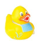 Rhode Island Novelty 2 Inch Dental Rubber Ducky (12 Piece) from Rhode Island Novelty