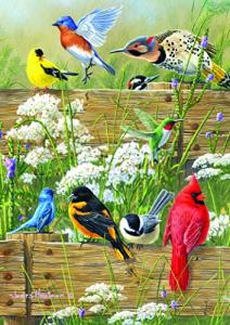Buffalo Games - Hautman Brothers - Songbird Menagerie - 300 LARGE Piece Jigsaw Puzzle, 21-1/4inx15in by Buffalo Games