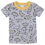 Gerber Baby Boys' 4-Piece Pajama Set, Dino Grey, 24 Months from Gerber