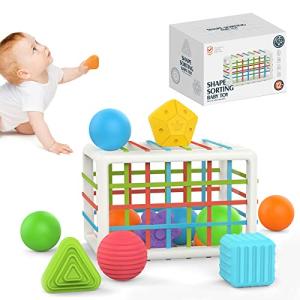 Baby Shape Sorting Toy,Montessori Toys for 1 2 3 Year Old Babies,Shape Sorter for Early Educational Babies and Toddlers(12PCS) from RtLvio