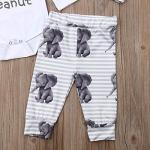 3Pcs Newborn Baby Boy Girl Elephant Outfits Long Sleeve Little Peanut Romper Bodysuit+Leggings Pants+Hat Fall Winter Clothes (3Pcs Elephant Set, 6-12 Months) from 
