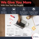 Check My Body Health Food Sensitivity Test Complete Sensitivity Bioresonance Test Tests 970 Sensitivities Health Food Allergy Test Kit Quick and Easy to Use Includes Food Diary Home Test Kit from Check My Body Health