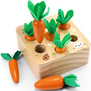 Montessori Toys for Babies 6-12 Months, Wooden Toys Developmental Shape Sorting & Matching Puzzle Carrots Harvest Game, Birthday Gifts for Toddlers Babies Boys and Girls by Wdmiya