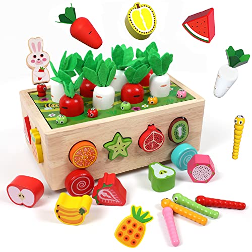 1 Year Old Girl Gifts,Montessori Toys for 1 2 3 Year Old Boys,Wooden Shape Sorter Preschool Learning Educational Sensory Toys for Toddlers 1-3,Baby Toys 12-18 Months,1st First Birthday Gift (Fruits) from UAHAPY-2108