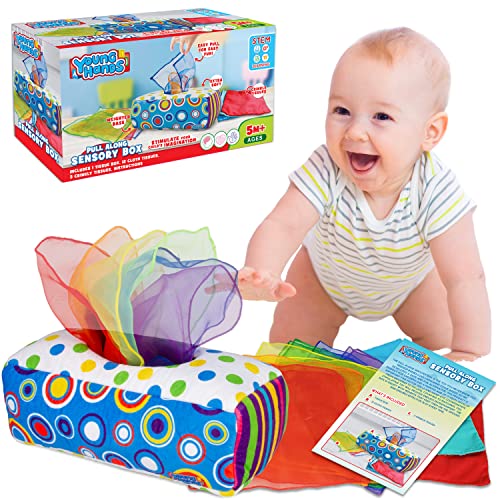 Sensory Pull Along Toddler Infant Baby Tissue Box - Colorful Juggling Rainbow Dance Scarves for Kids STEM Montessori Educational Manipulative Preschool Learning Toys â 5 Month 1-2-Year-Old Activities by Creative Kids