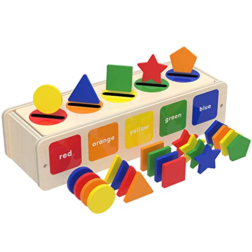 SHARKWOODS Montessori Toys for 1 2 3 Years Old Boys Wooden Sorting & Stacking Toy Color & Shape Early Educational Block Puzzles Toddler Toys Learning Puzzles Gift (Box) from SHARKWOODS
