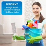 Pumice Stone Toilet Bowl Cleaner with Handle