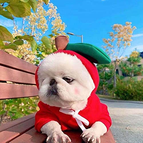 Warm Apple Hoodie for Dogs and Puppies