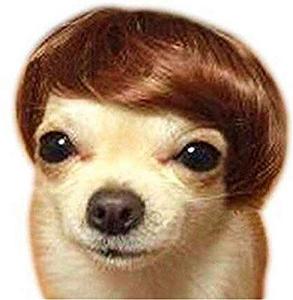 Dog Wig Costume for Halloween and Parties